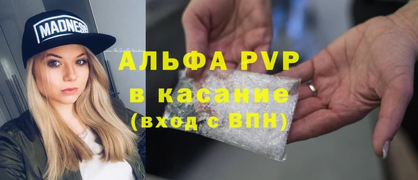 молекула духа Зеленокумск