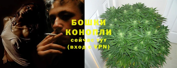 молекула духа Зеленокумск