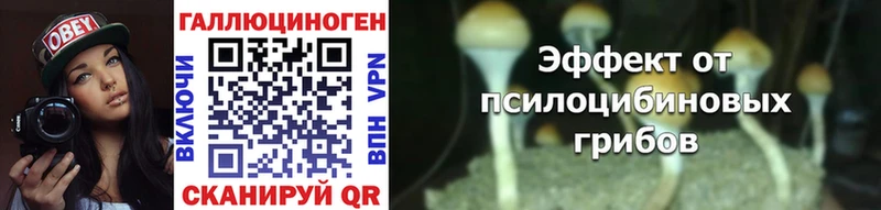 цена Староминская Псилоцибиновые грибы мицелий